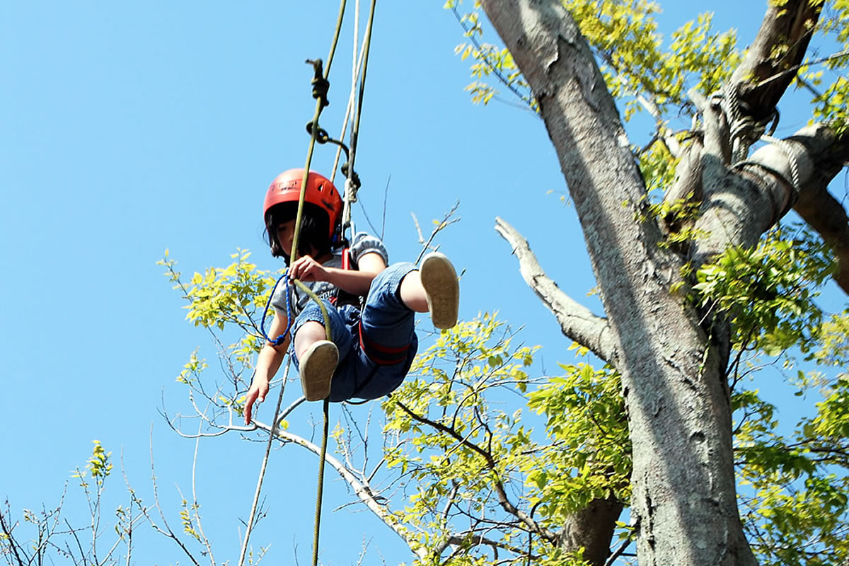ツリークライミング