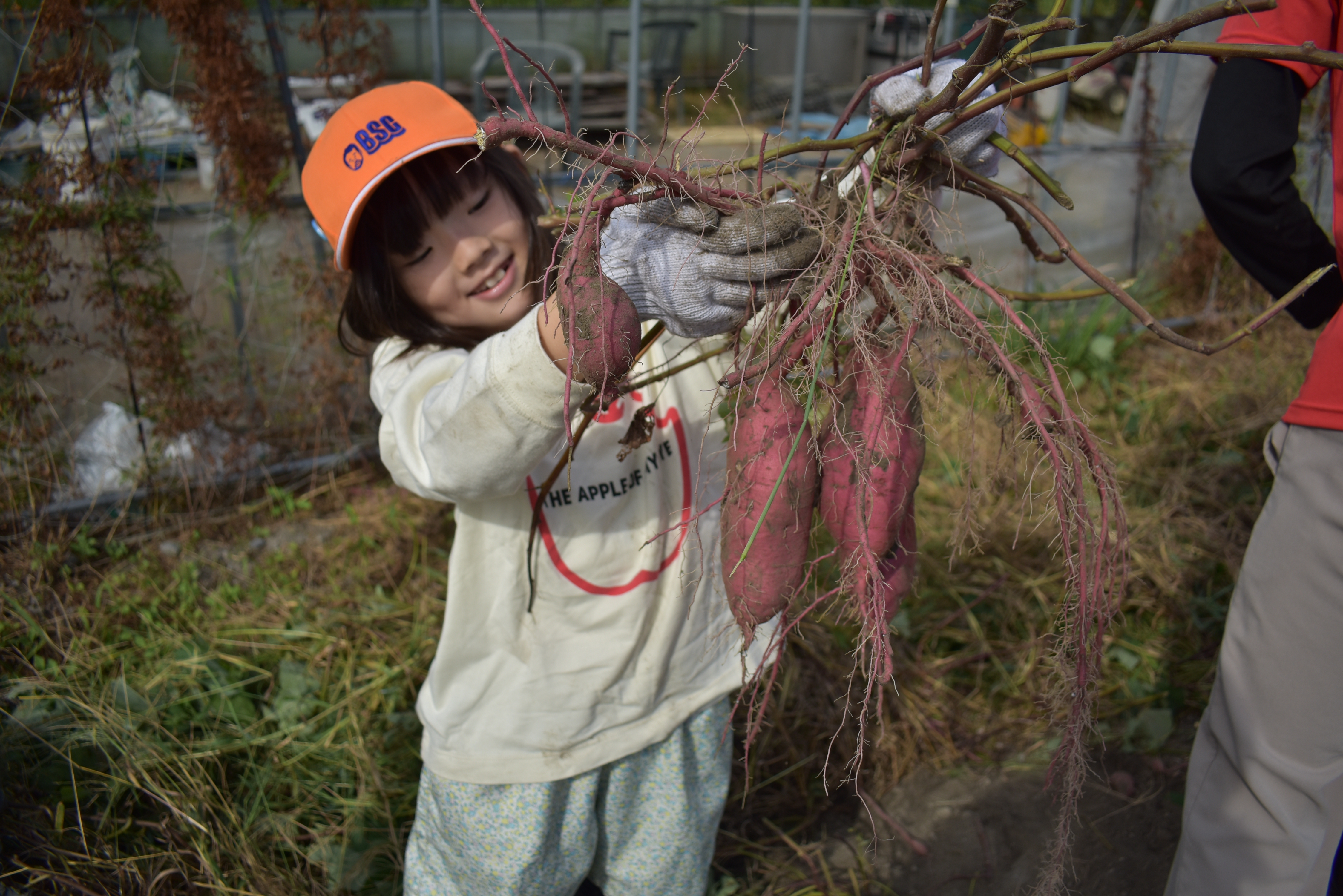 Child wearing an orange helmet and gloves holds a tangled pinkish plant root mass outdoors, smiling at the camera.